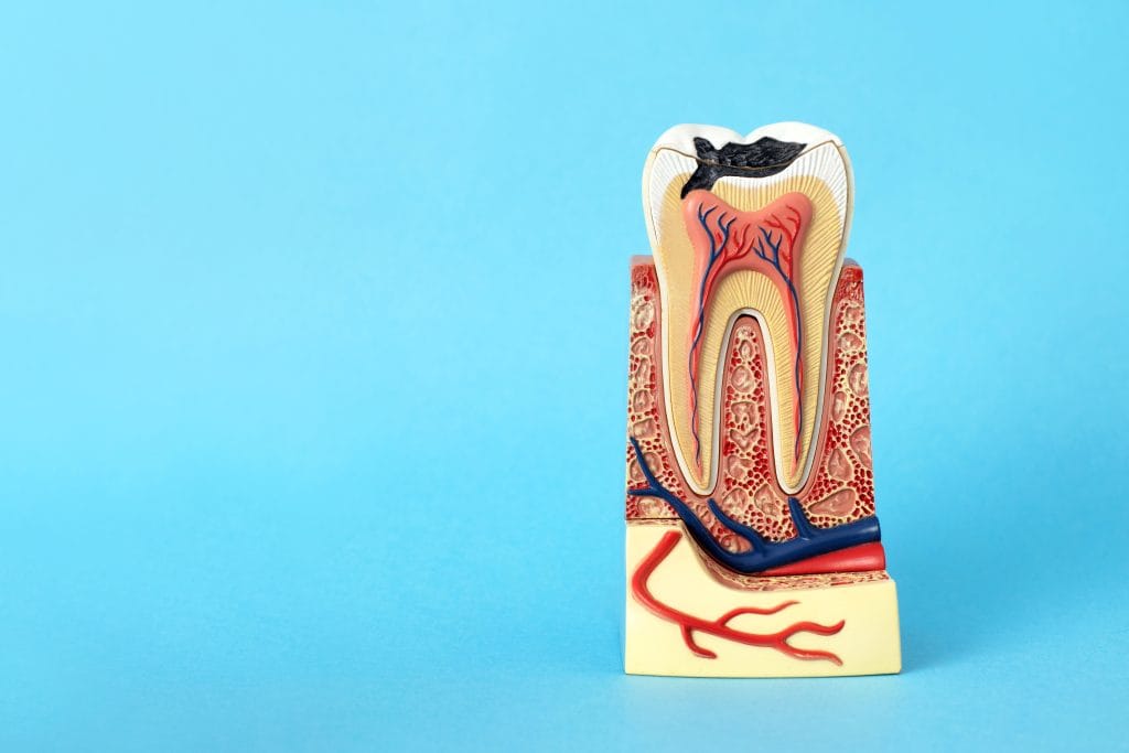 Dental Root Canal Treatment in antalya turkey